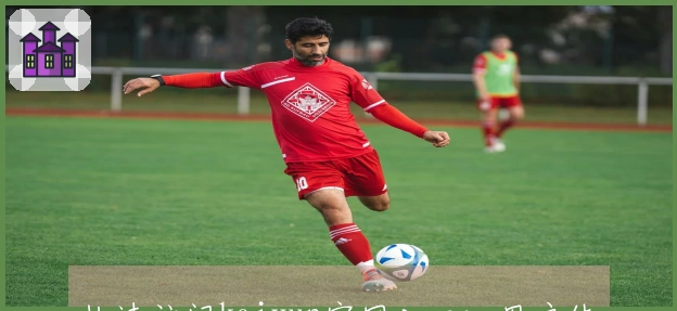 快速访问kaiyun官网入口:用户体验与使用技巧分享