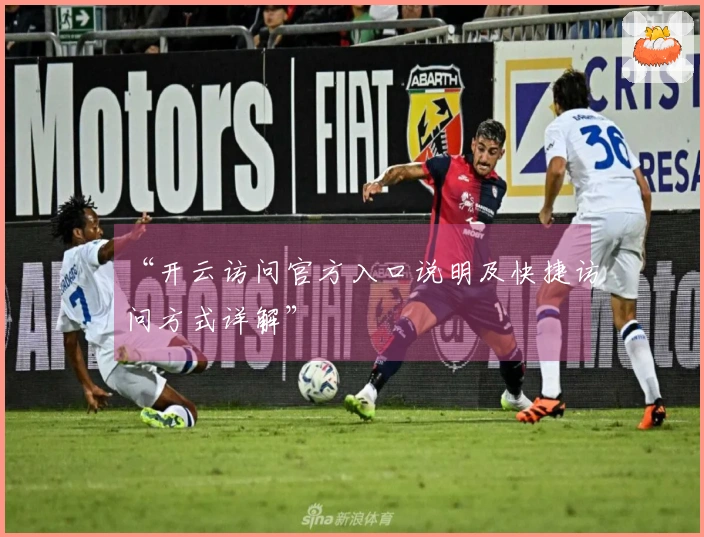 “开云访问官方入口说明及快捷访问方式详解”